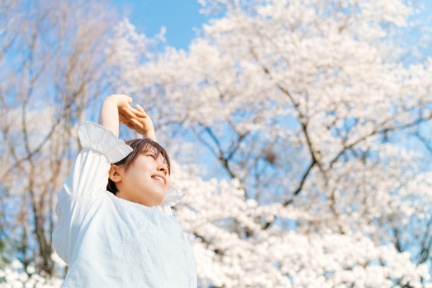 樱花人像