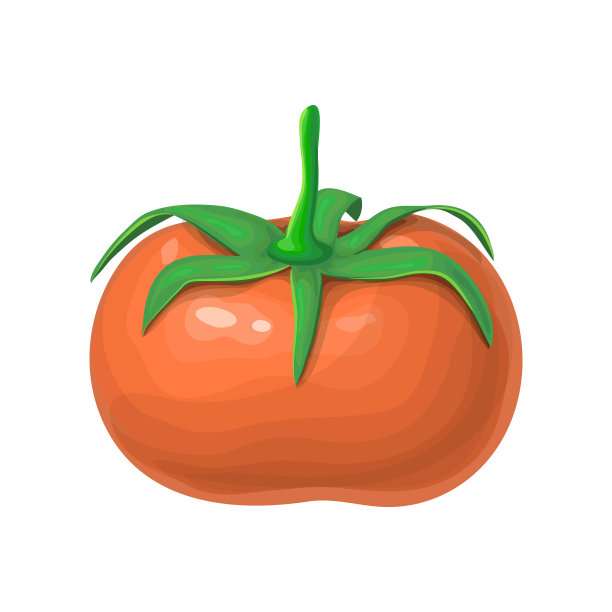 大蕃茄小番茄