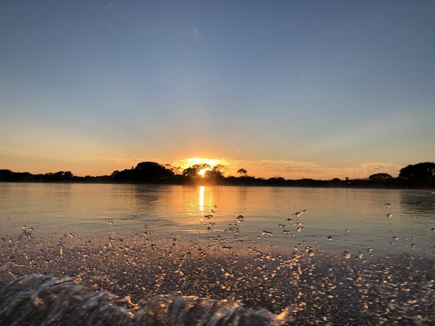 夏日湿地风光