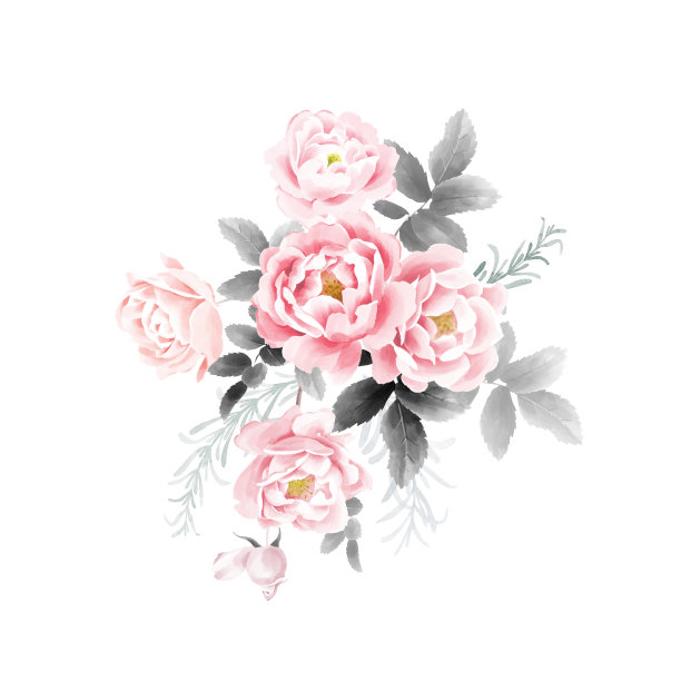 玫瑰花树叶现代插画