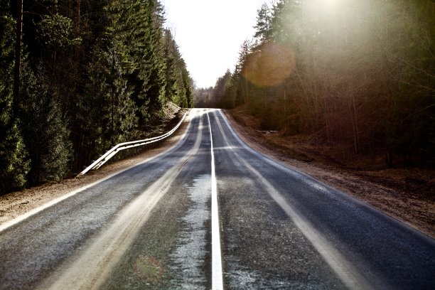 树林道路