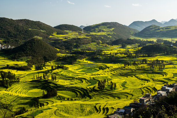 天然食品山村田野风景