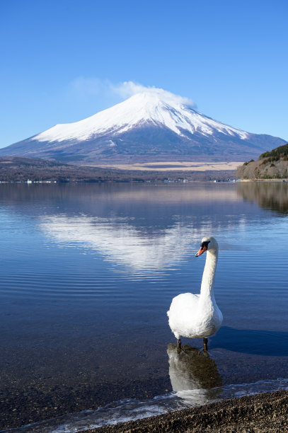 优美风景