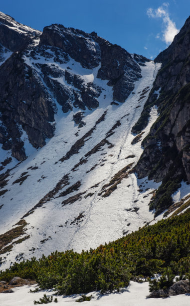 草地蓝天雪山