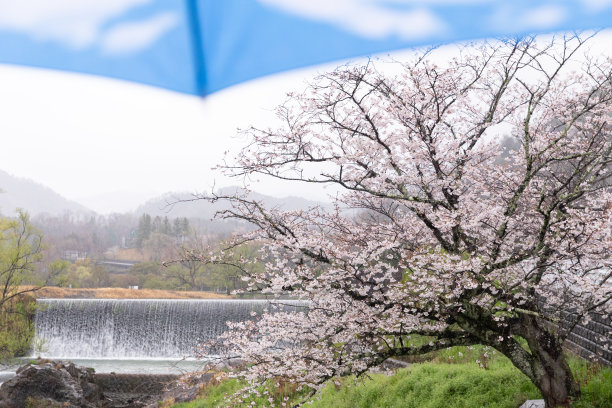 雨中堤坝