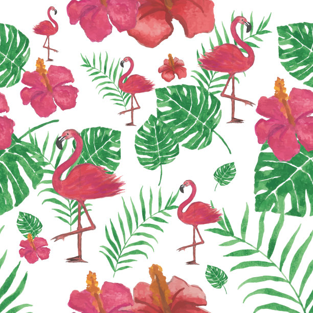 热带雨林火烈鸟插画