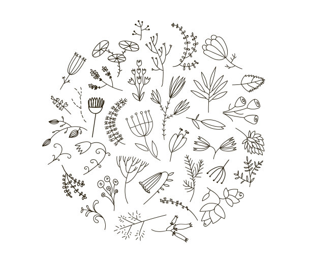 矢量花草,植物,圆形图案
