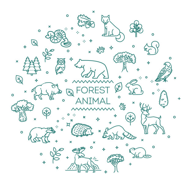 矢量森林动物
