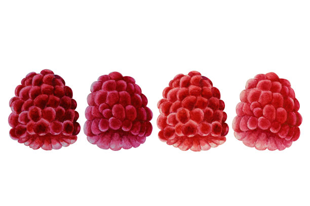 红果子装饰画