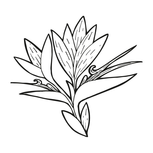 热带植物logo