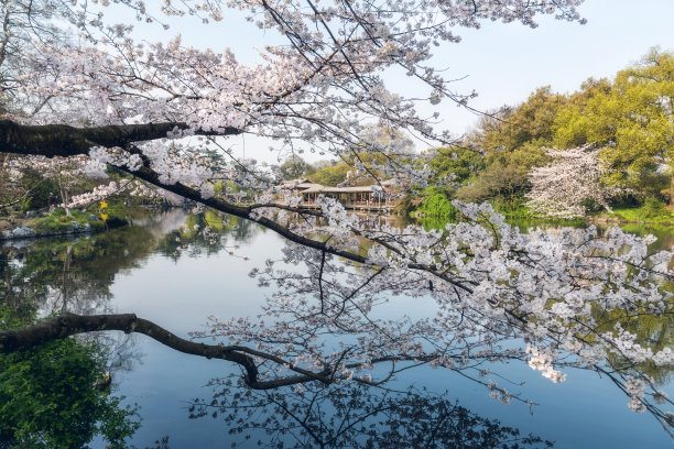 杭州西湖 自然景观