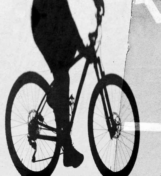 自行车道摄影