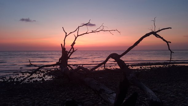 清晨无人的海滩