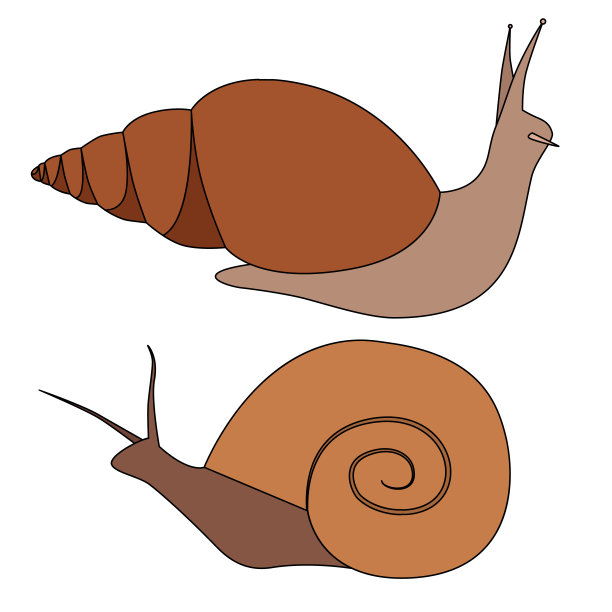 矢量蜗牛卡通