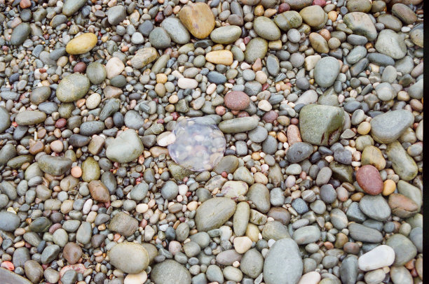 海边大石头