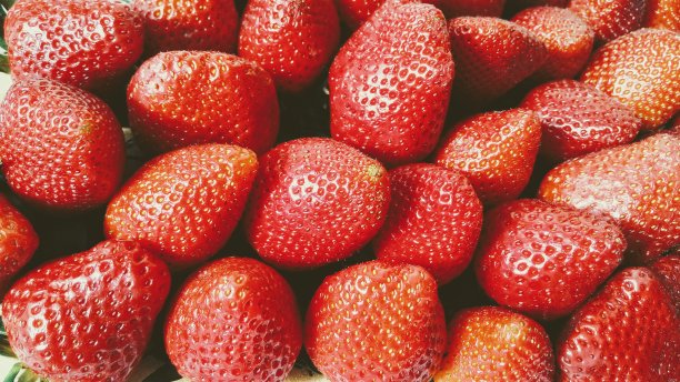 高清草莓素材