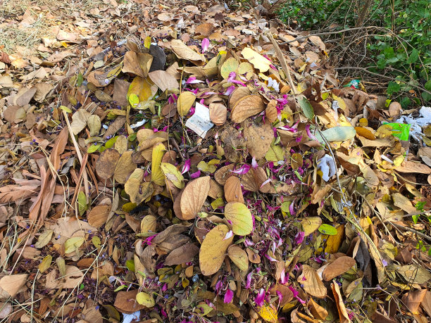 垃圾背景与花