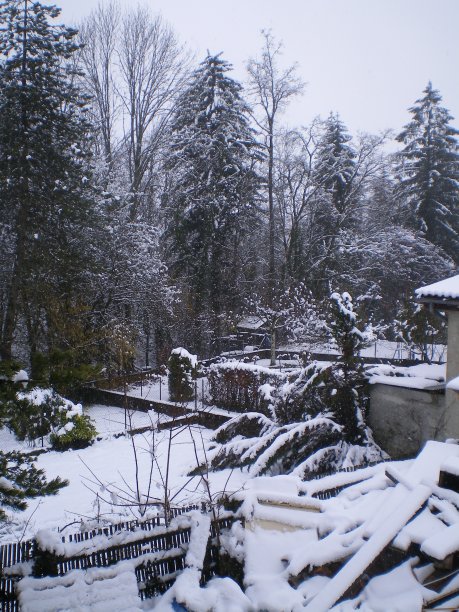雪中庭院湖景