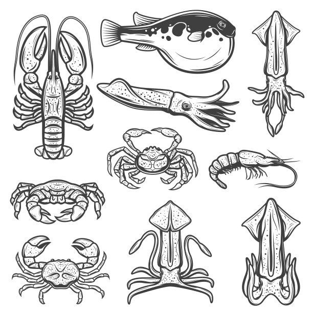 龙虾设计图