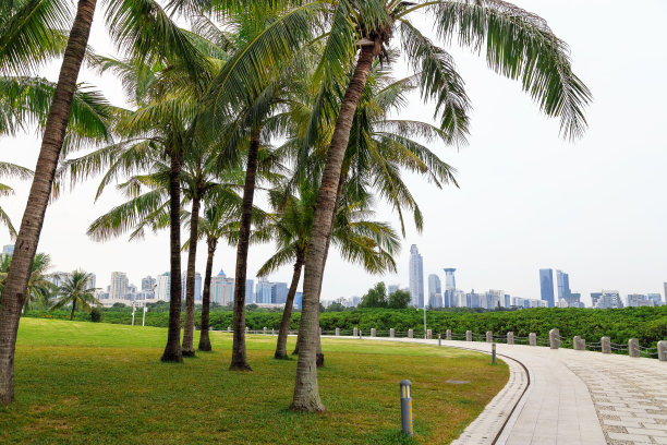 深圳标志性建筑山水