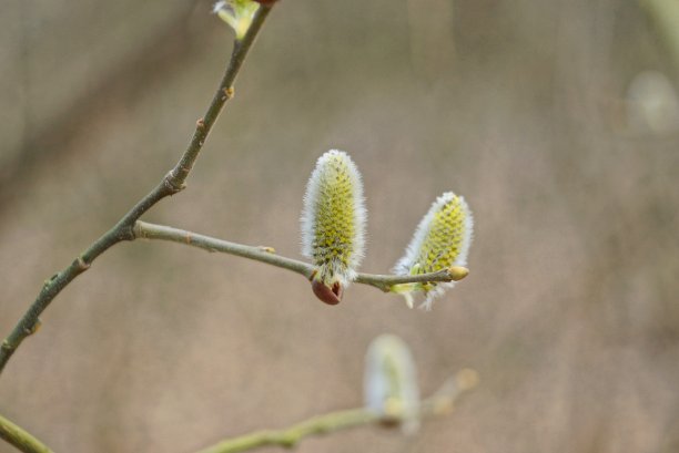 花朵吊坠