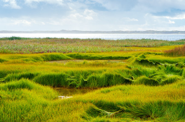 秋季草原湿地天空