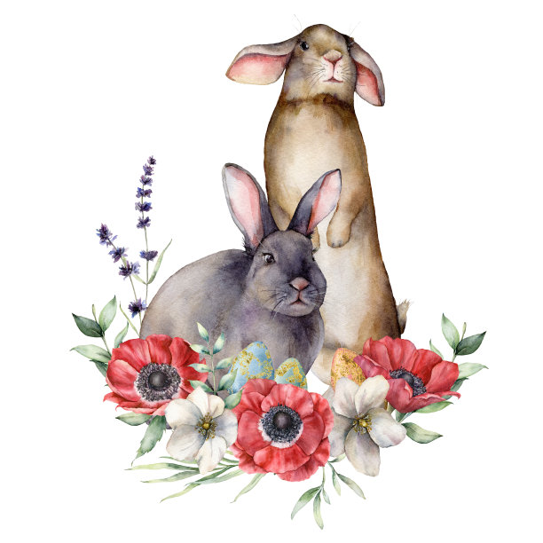 兔子彩绘