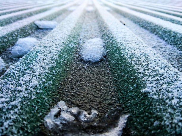 白雪覆盖的屋顶