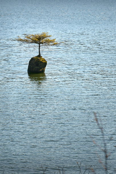 仙女湖畔