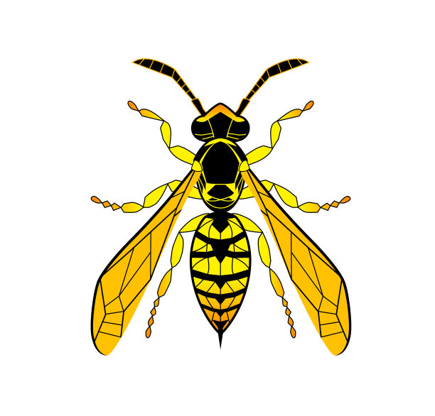 大黄蜂,蜜蜂,绘画插图,卡通,乱画,彩色玻璃,分离着色,黄色,白色背景