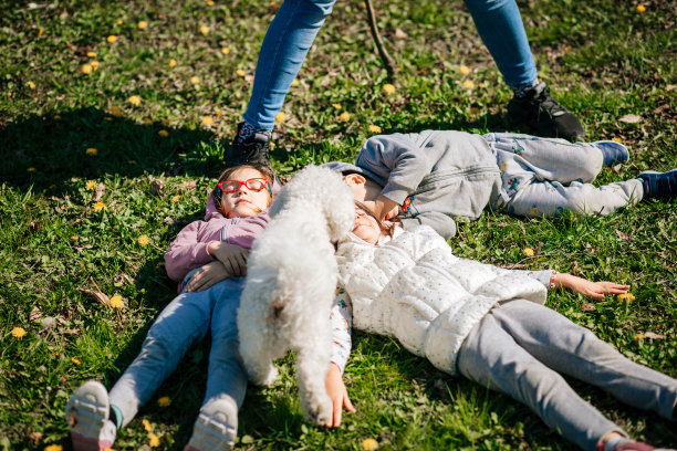 躺在草坪上的一家人