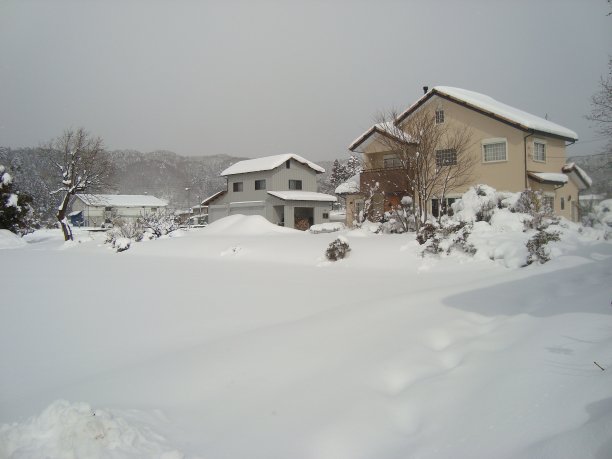 雪地雪景