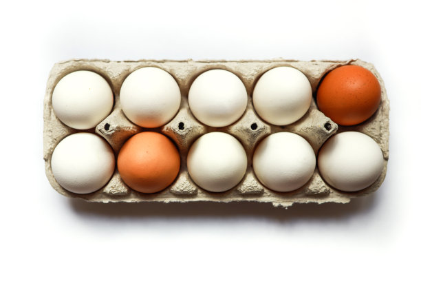 卵,多种族,蛋白质