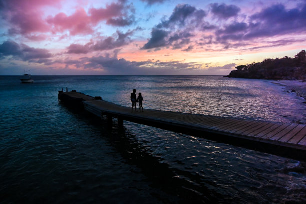 海边夕阳椰树剪影