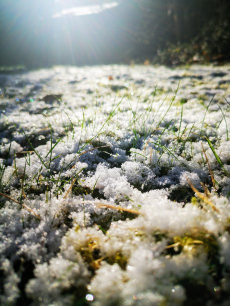 下雪中的院子