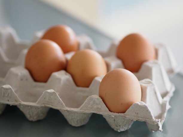 卵,蛋白质,农民