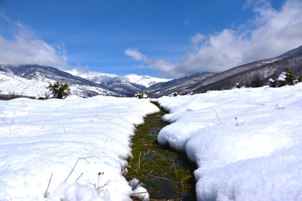 冬季山林 高清全景