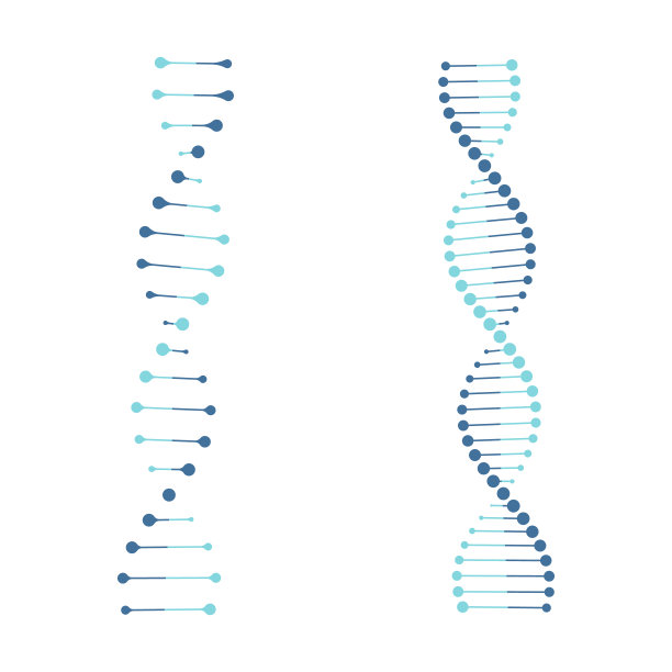 基因分子元素