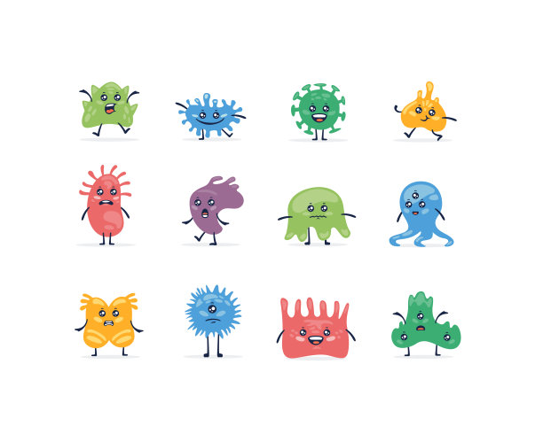 人体免疫细胞