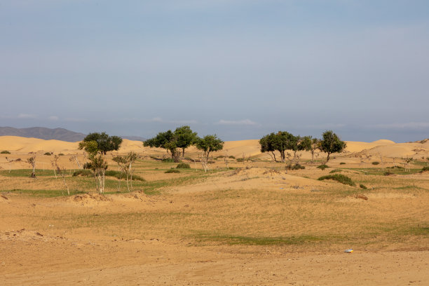 大漠戈壁生态