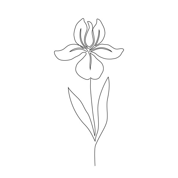 植物花朵线条元素