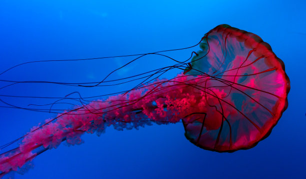 水族馆标识