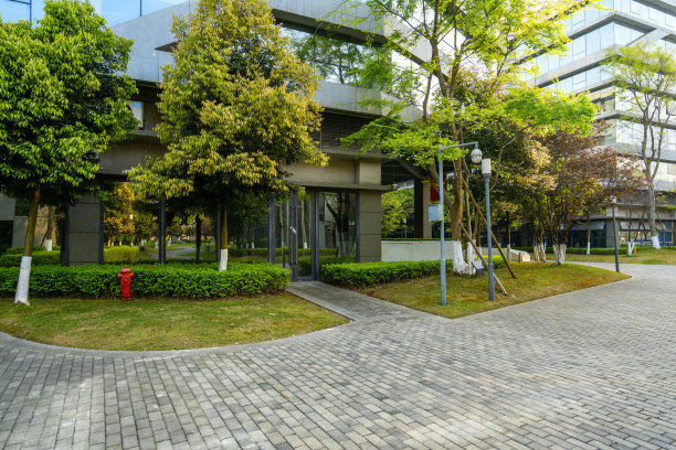 重庆大学地标建筑