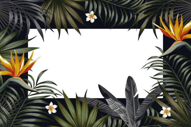 热带植物叶海报