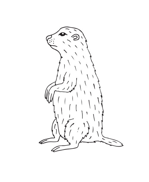 松鼠logo,动物logo