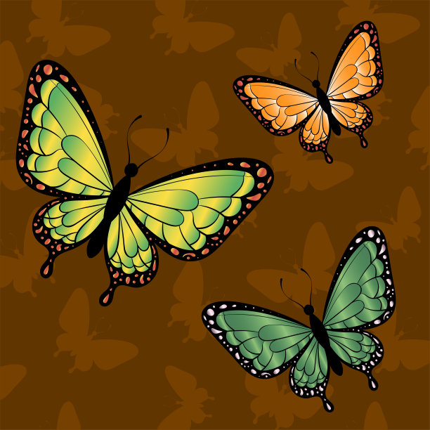 蝴蝶图案矢量图