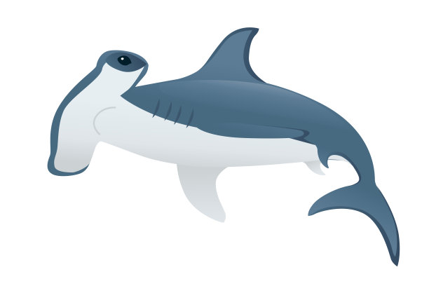 鲨鱼logo设计