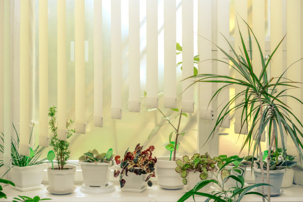植物冷室