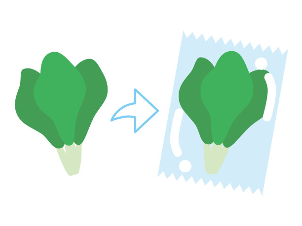 绿色蔬菜包装设计