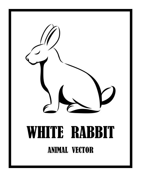白兔与黑白兔